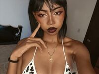 teaser chat JazCrochet